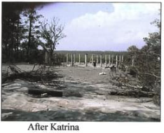 After Katrina